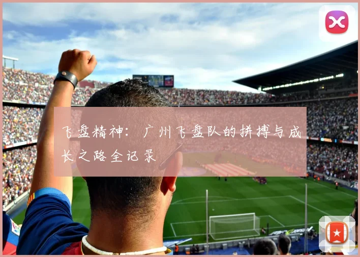 飞盘精神：广州飞盘队的拼搏与成长之路全记录