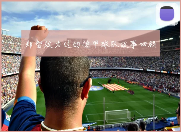 郑智效力过的德甲球队故事回顾