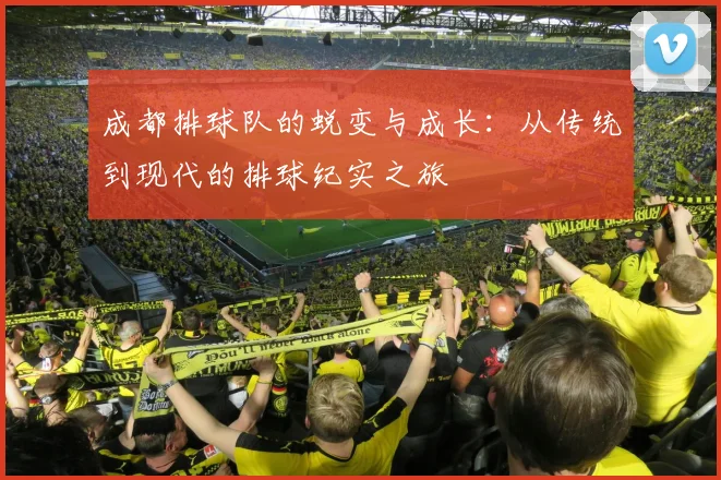 成都排球队的蜕变与成长：从传统到现代的排球纪实之旅